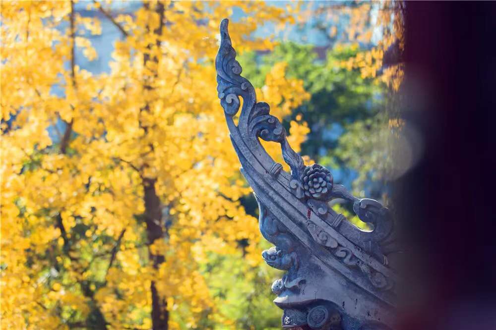 微信图片_20191213224216.jpg 微信图片_20191213224216.jpg