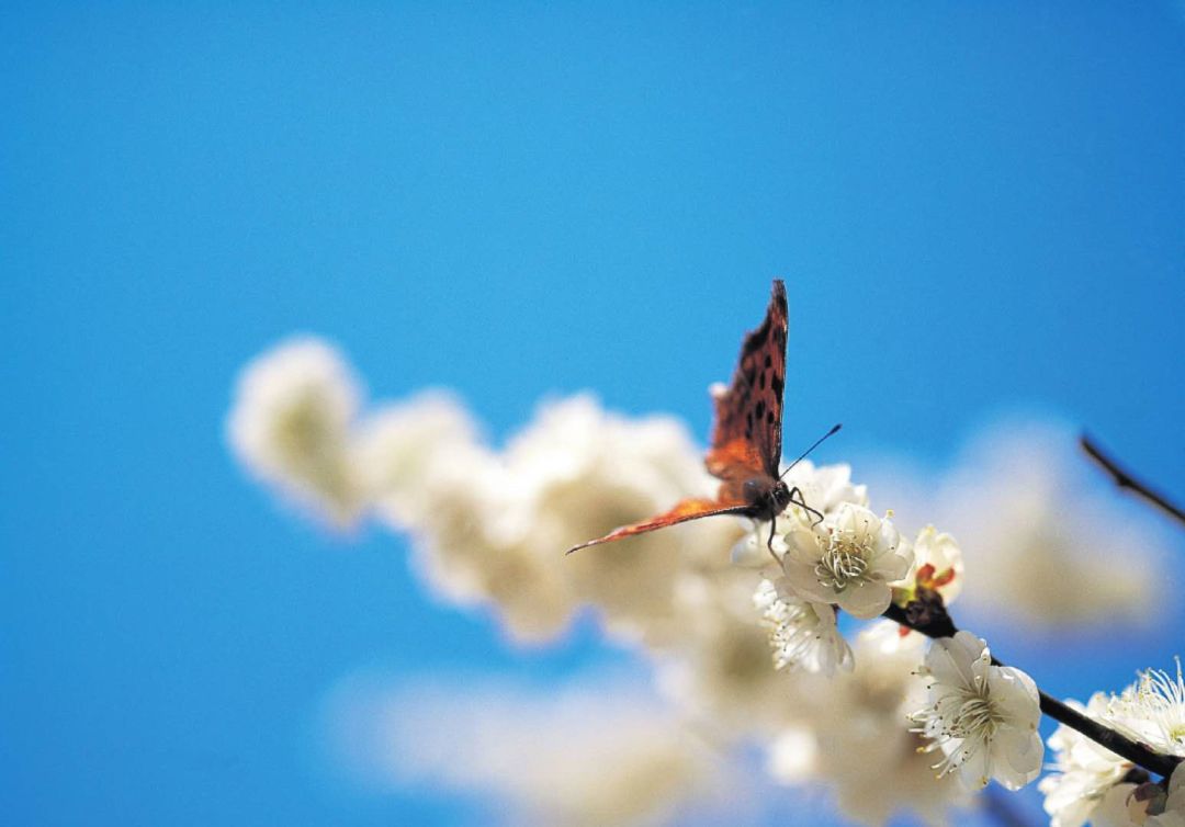 微信图片_20200519232820.jpg 微信图片_20200519232820.jpg